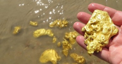 куски золота в руке и воде